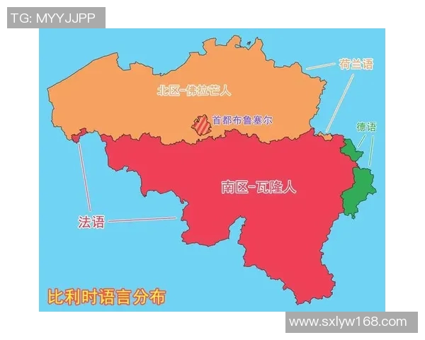 荷兰与比利时精彩对决直播时间及观看方式全攻略 荷兰与比利时精彩对决直播时间及观看方式全攻略