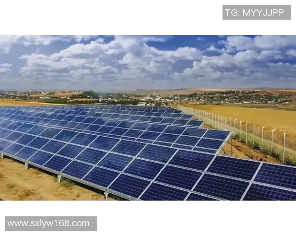 龙江风采展现新时代魅力与发展成就的辉煌篇章